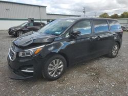 KIA Sedona lx salvage cars for sale: 2019 KIA Sedona LX