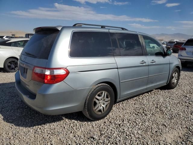 2005 Honda Odyssey EXL