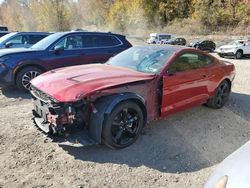 Ford Mustang salvage cars for sale: 2021 Ford Mustang