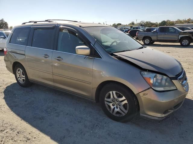 2005 Honda Odyssey EXL