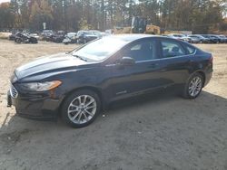 Ford Fusion salvage cars for sale: 2019 Ford Fusion SE