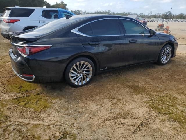 2021 Lexus ES 300H Ultra Luxury