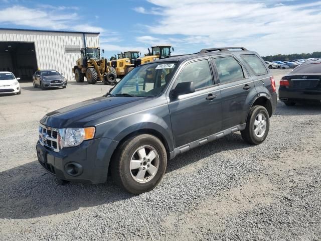 2008 Ford Escape XLS