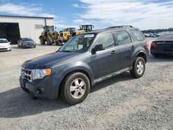 Ford salvage cars for sale: 2008 Ford Escape XLS