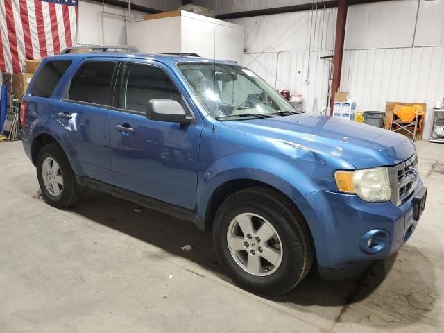 2009 Ford Escape XLT