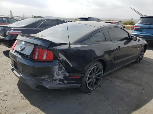 2010 Ford Mustang