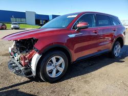 KIA Sorento salvage cars for sale: 2023 KIA Sorento LX