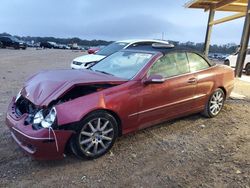 2007 Mercedes-Benz CLK 350 for sale in Tanner, AL