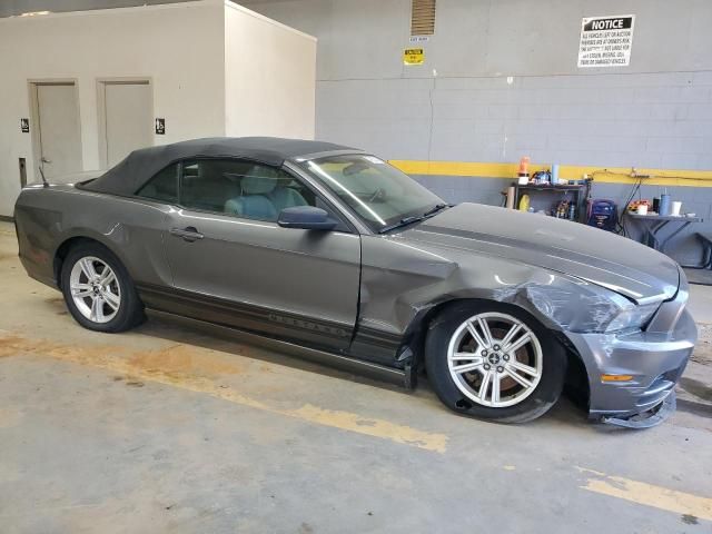 2013 Ford Mustang