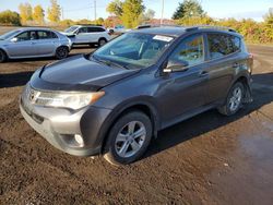 Toyota salvage cars for sale: 2013 Toyota Rav4 XLE