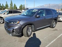 Honda Pilot salvage cars for sale: 2023 Honda Pilot EXL