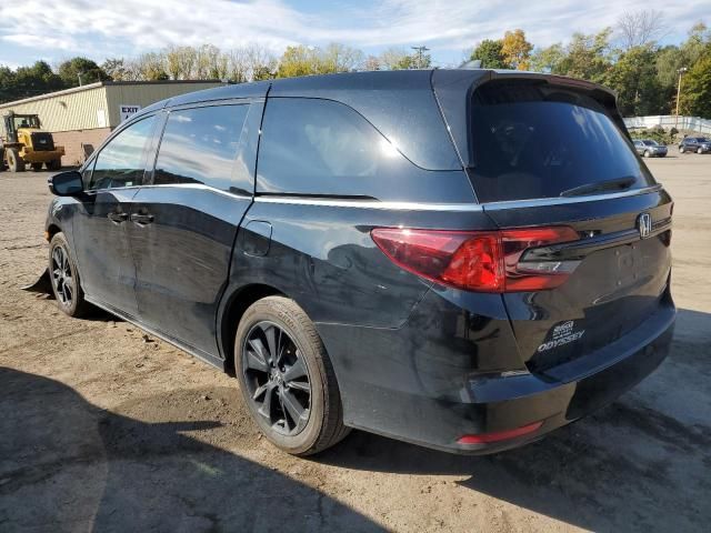 2024 Honda Odyssey Sport