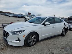 Hyundai Sonata salvage cars for sale: 2020 Hyundai Sonata SE