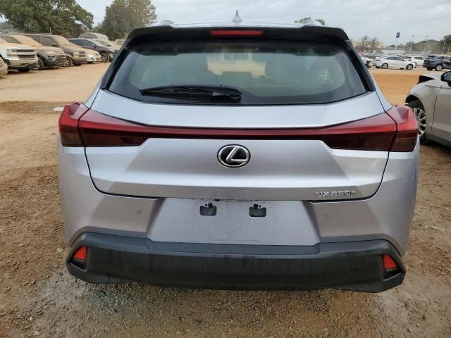 2024 Lexus UX 250H Premium