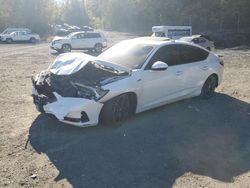 Acura Integra a salvage cars for sale: 2023 Acura Integra A-SPEC Tech