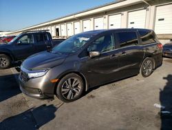 Honda Odyssey salvage cars for sale: 2022 Honda Odyssey Touring