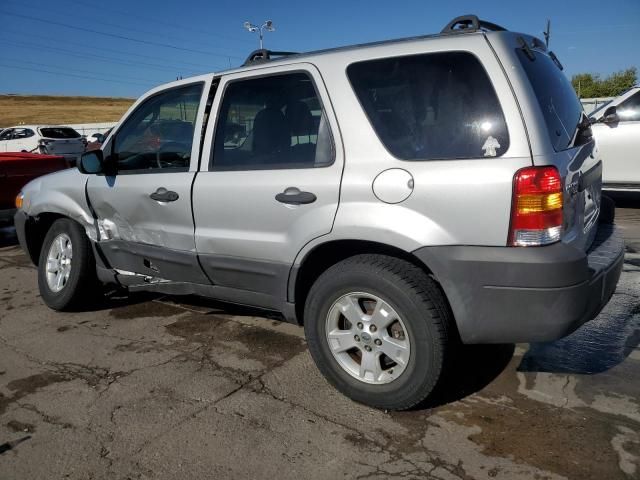 2006 Ford Escape XLT