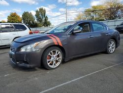 Nissan Maxima salvage cars for sale: 2013 Nissan Maxima S