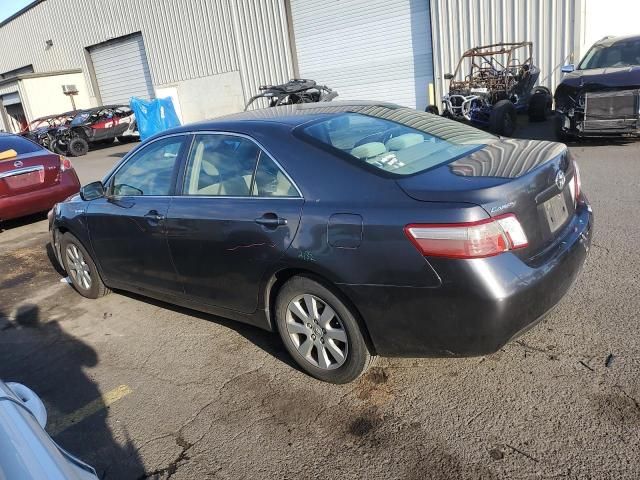 2008 Toyota Camry Hybrid