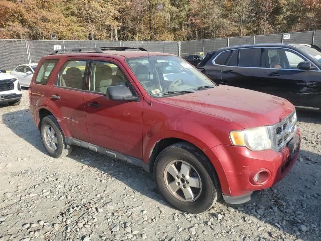 2010 Ford Escape XLS