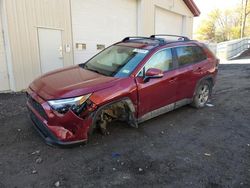 Toyota rav4 salvage cars for sale: 2023 Toyota Rav4 XLE