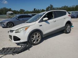 Ford Escape salvage cars for sale: 2013 Ford Escape SEL