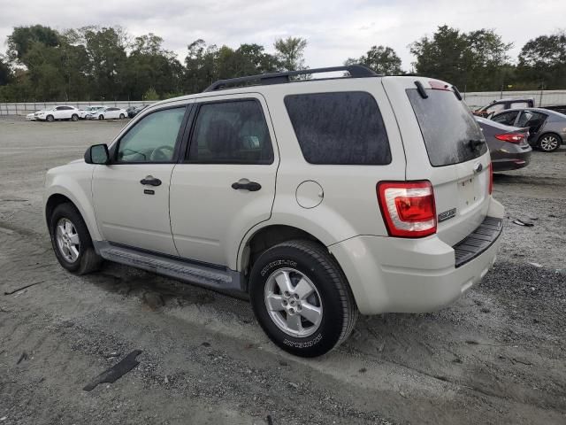 2009 Ford Escape XLT
