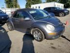 2006 Volkswagen New Beetle Convertible Option Package 2