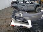 2023 Arctic Cat IC Cat Alterra 600-ATV