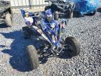 2024 Yamaha 2024 Yama YFM70RSCRL Raptor 70