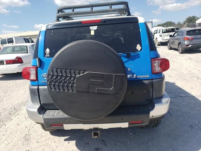 2007 Toyota FJ Cruiser