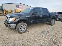 2011 Ford F150 Supercrew for sale in Amarillo, TX