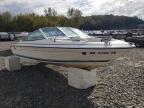 1990 Sea Ray 160 BOW Rider