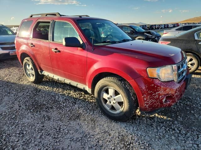 2010 Ford Escape XLT