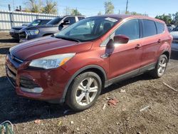 2015 Ford Escape SE for sale in Lansing, MI