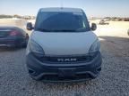 2019 Dodge RAM Promaster City