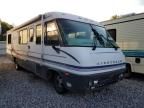 1998 Thor Motor Coach 1998  Serrano CL-RV
