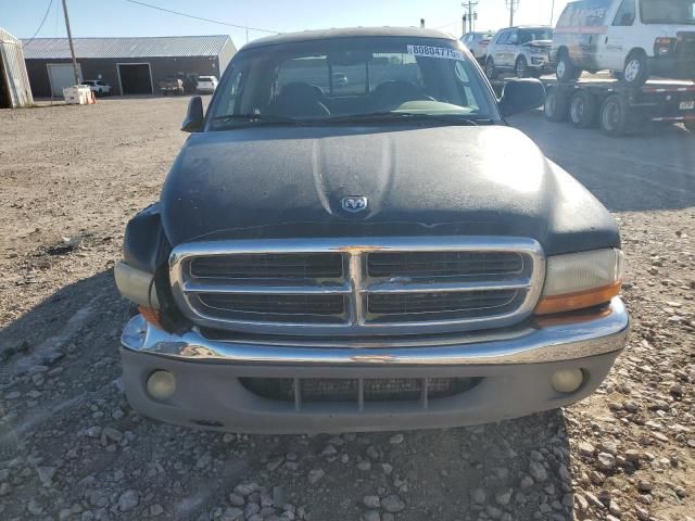 2001 Dodge Dakota Quattro
