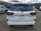 2023 Ford Escape st Line Elite