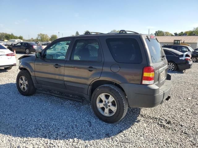 2006 Ford Escape XLT