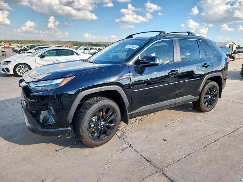 2025 Toyota Rav4 XLE Premium