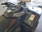 2025 Cf Moto Cforce 400