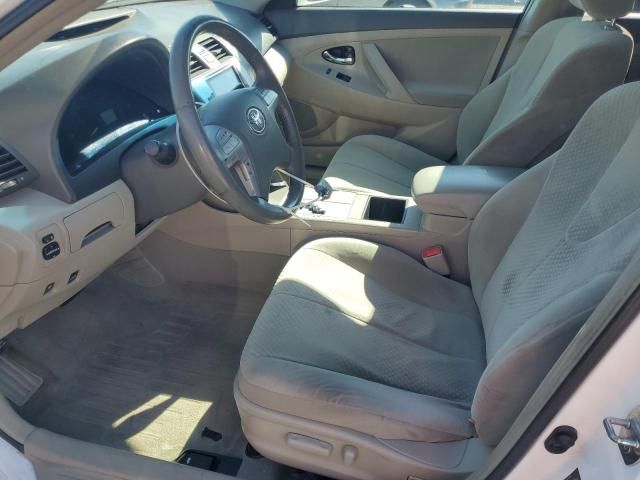 2009 Toyota Camry Hybrid