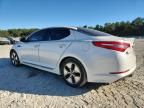2013 KIA Optima Hybrid