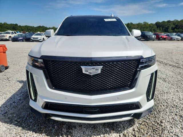 2023 Cadillac Escalade v Sport