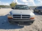 2004 Dodge Dakota Quad Sport