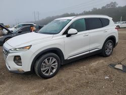 Hyundai Santa fe salvage cars for sale: 2020 Hyundai Santa FE SEL