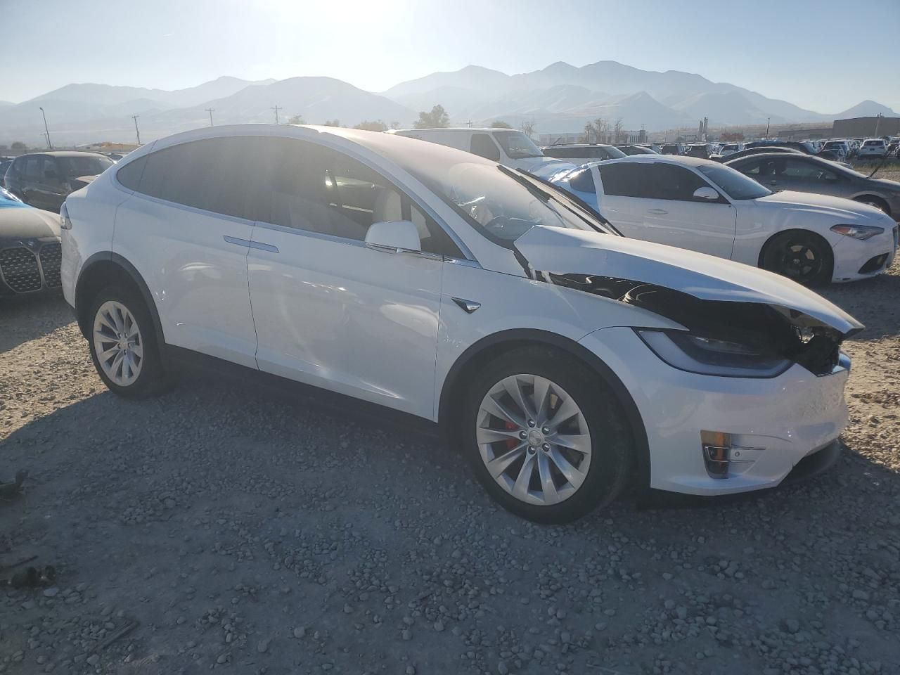 2021 Tesla Model x