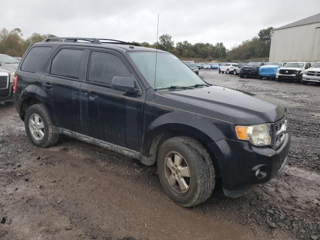 2010 Ford Escape XLT