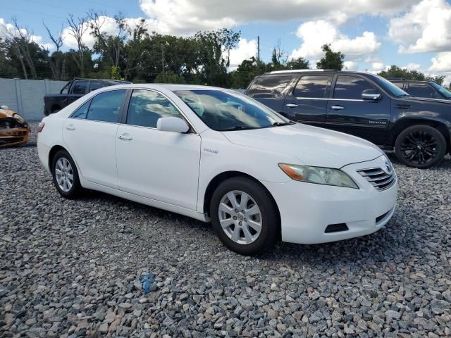 2009 Toyota Camry Hybrid